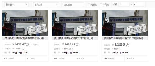 桂林市一個出租到2039年的工廠拍賣,被兩家企業(yè)聯(lián)合以1433萬買下